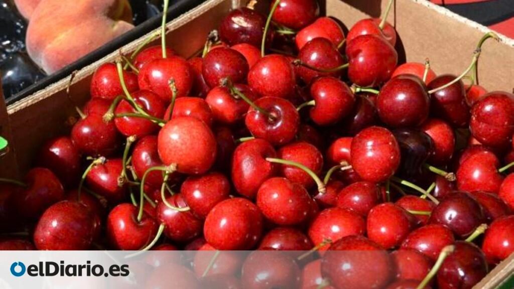 En este pequeño pueblo barcelonés hubo una gran cosecha de cerezas en 1983 y desde entonces se celebra esta fiesta en torno a esta fruta