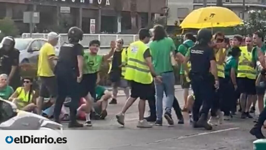 Expedientado el agente de la Policía Nacional que agredió por la espalda a una profesora en huelga en València