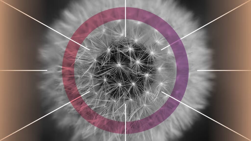 Finding Your New Strategic Center