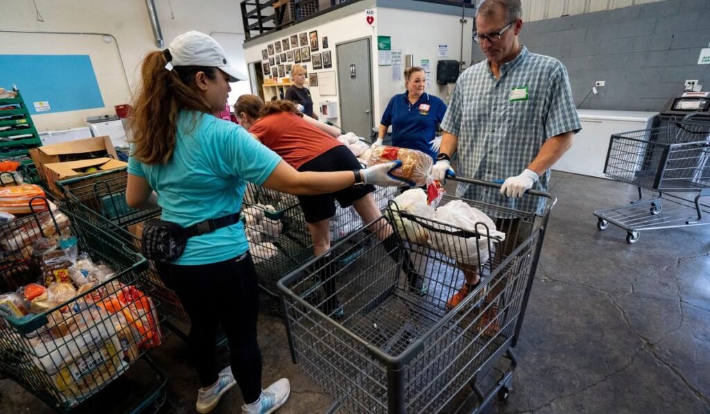 Food insecurity reaches highest level in a decade