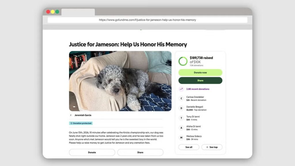 GoFundMe confirms campaign for dog shot by LAPD is authentic as fundraising nears $190,000 mark GoFundMe confirms campaign for dog shot by LAPD is authentic as fundraising nears $190,000 mark