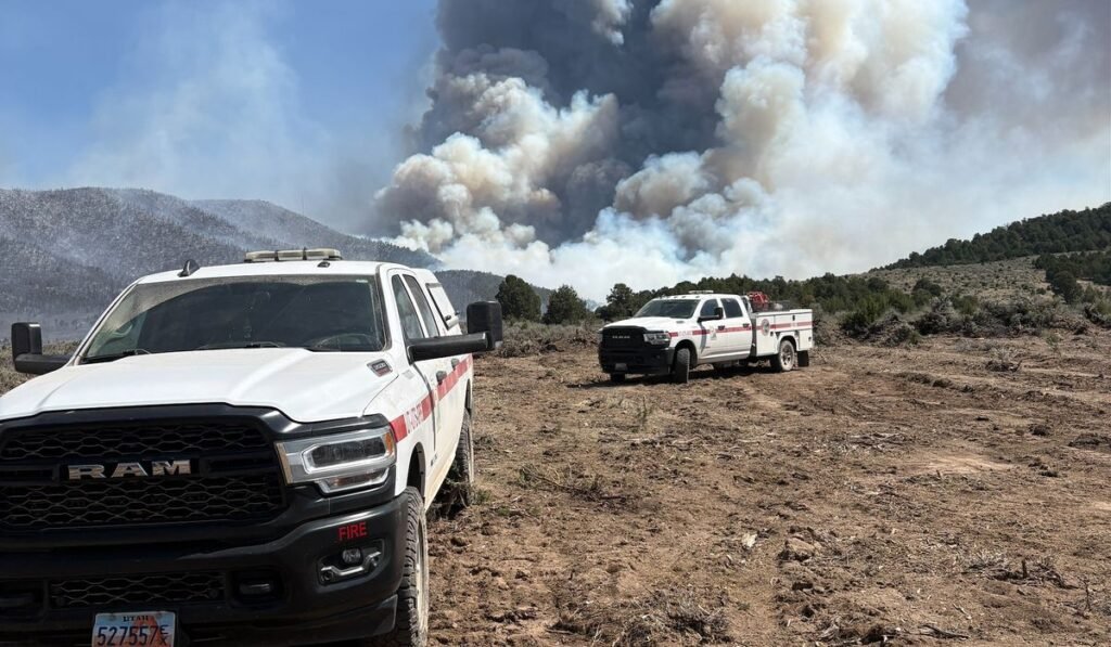 Heat, wind and drought conditions spark wildfires in U.S. West