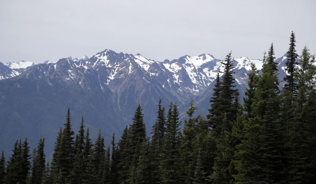 Human remains at Olympic National Park in Washington state identified after 26 years Human remains at Olympic National Park in Washington state identified after 26 years