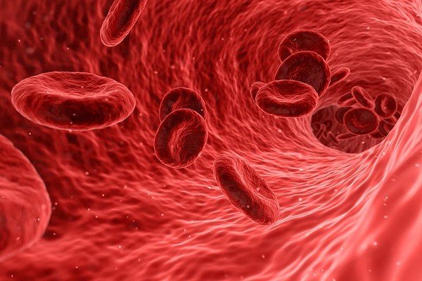 Incyte’s $1.25B Buyout Brings What Could Become the Next Big Bleeding Disorder Drug Incyte’s $1.25B Buyout Brings What Could Become the Next Big Bleeding Disorder Drug