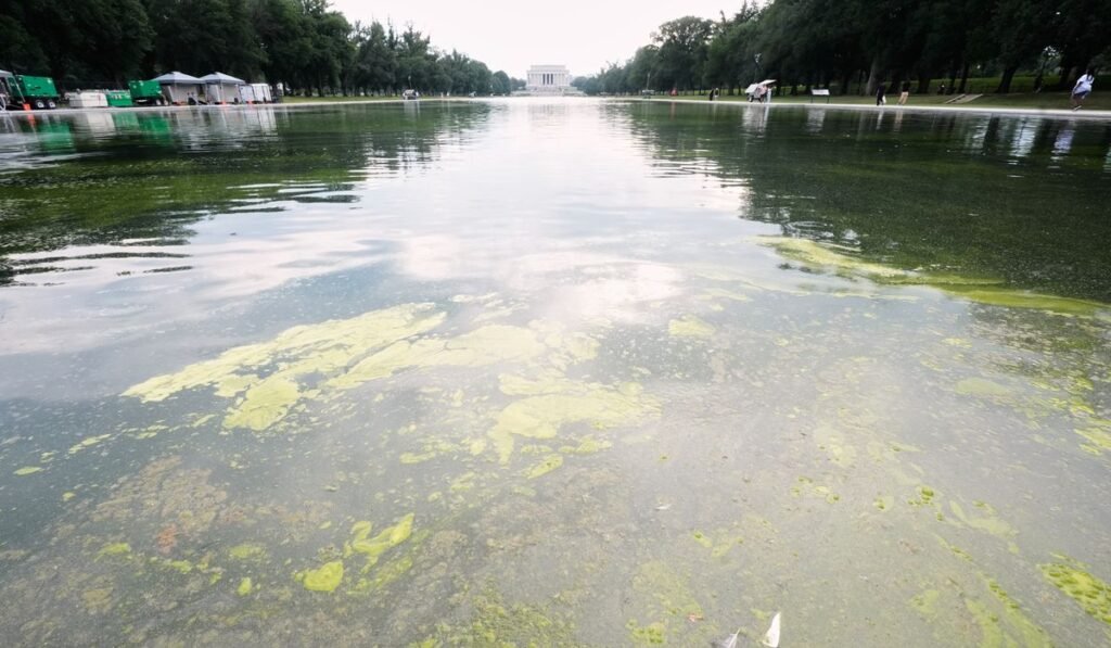Interior Dept. kicks off efforts to kill algae growth in Reflecting Pool