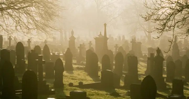 Man arrested in Hungary for collecting human body parts from cemeteries – National Man arrested in Hungary for collecting human body parts from cemeteries - National