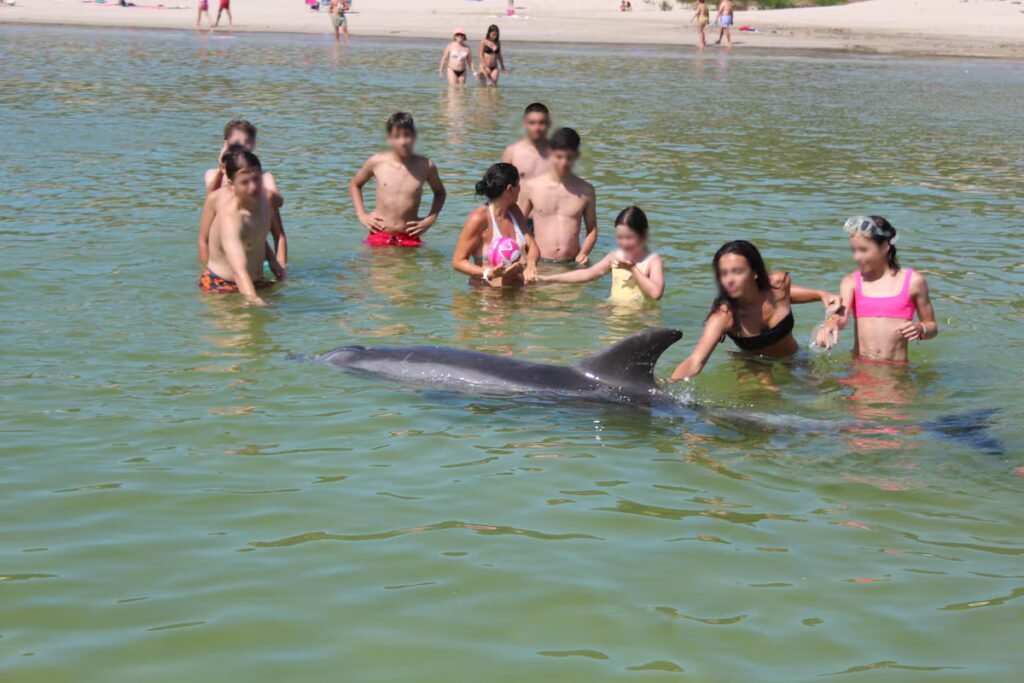 Manoliño and other dolphins who approach people to escape their loneliness | Climate