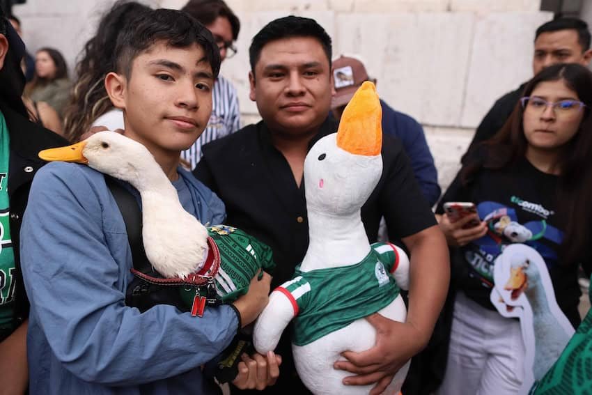 Merlin the World Cup Duck is now a registered trademark