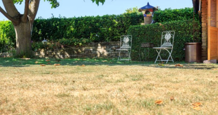 Metro Vancouver enters Stage 3 water restrictions as snowpack melts a month early – BC Metro Vancouver enters Stage 3 water restrictions as snowpack melts a month early - BC