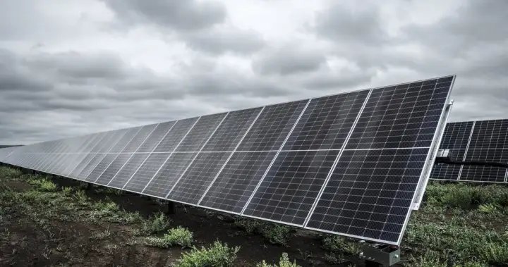 N.B. regulator revokes solar company’s licence after claims of unfulfilled orders – New Brunswick N.B. regulator revokes solar company’s licence after claims of unfulfilled orders - New Brunswick