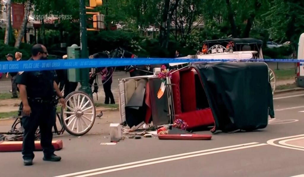 NYC carriage horse industry on pause after teenage tourist death in Central Park NYC carriage horse industry on pause after teenage tourist death in Central Park