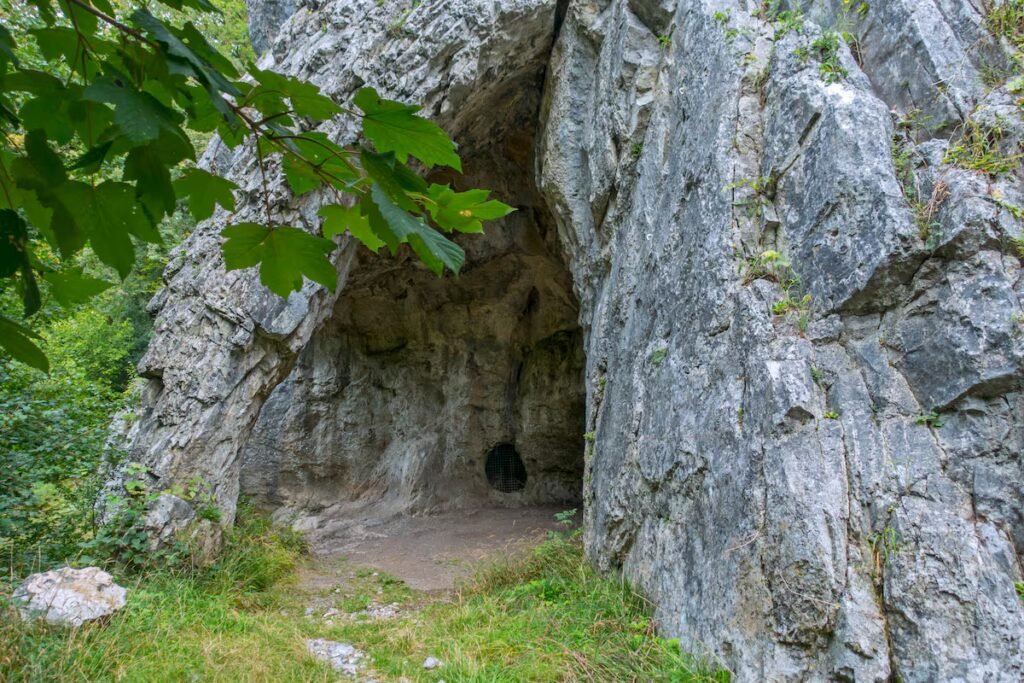New DNA study of Neanderthals bolsters suspicions of human-driven extinction | Science