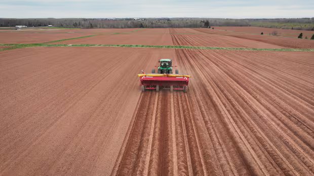 P.E.I. farm income dropped sharply in 2025 as historic drought and rising costs hit hard P.E.I. farm income dropped sharply in 2025 as historic drought and rising costs hit hard