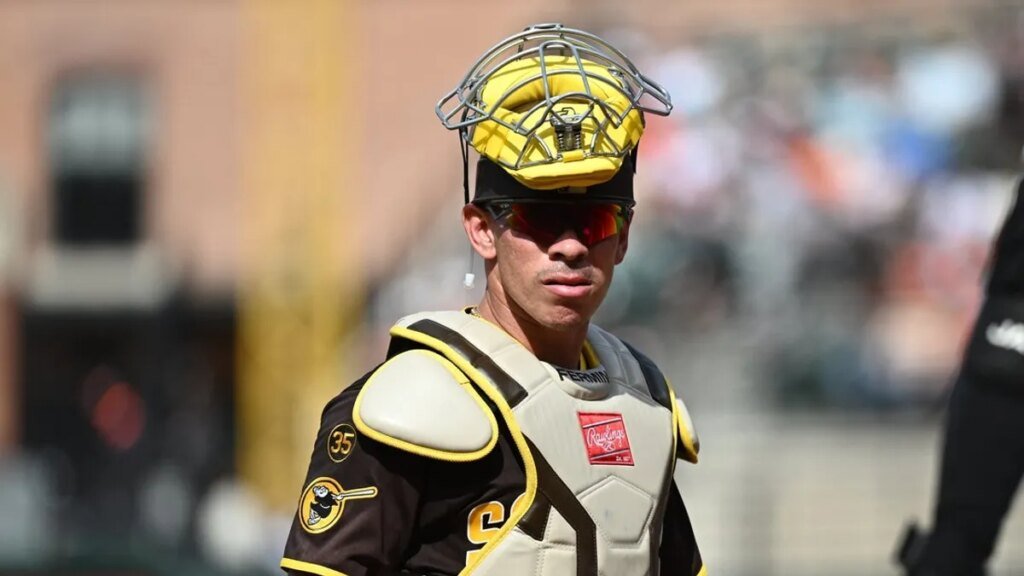Padres place C Freddy Fermin on concussion IL Padres place C Freddy Fermin on concussion IL
