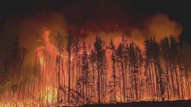 Provincial auditor urges Sask. to include all expected wildfire costs in budgeting Provincial auditor urges Sask. to include all expected wildfire costs in budgeting