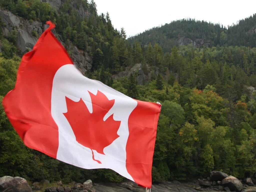 Quebec town officially recognizes trees as living beings with rights Quebec town officially recognizes trees as living beings with rights