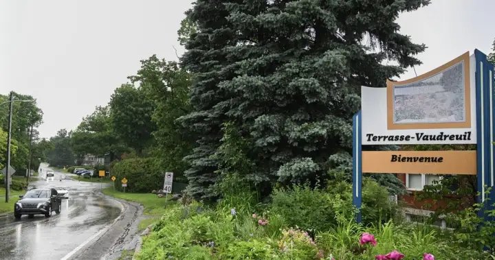 Quebec town recognizes the rights of trees Quebec town recognizes the rights of trees