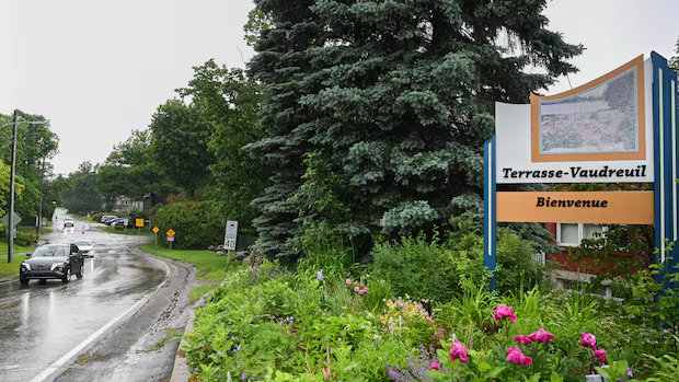 Quebec town recognizes trees as living beings with rights Quebec town recognizes trees as living beings with rights