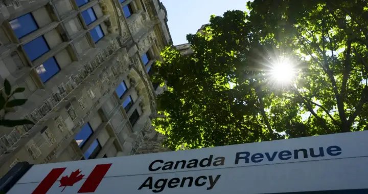 Taxpayer ombudsperson urges automatic filing for more Canadians – National Taxpayer ombudsperson urges automatic filing for more Canadians - National