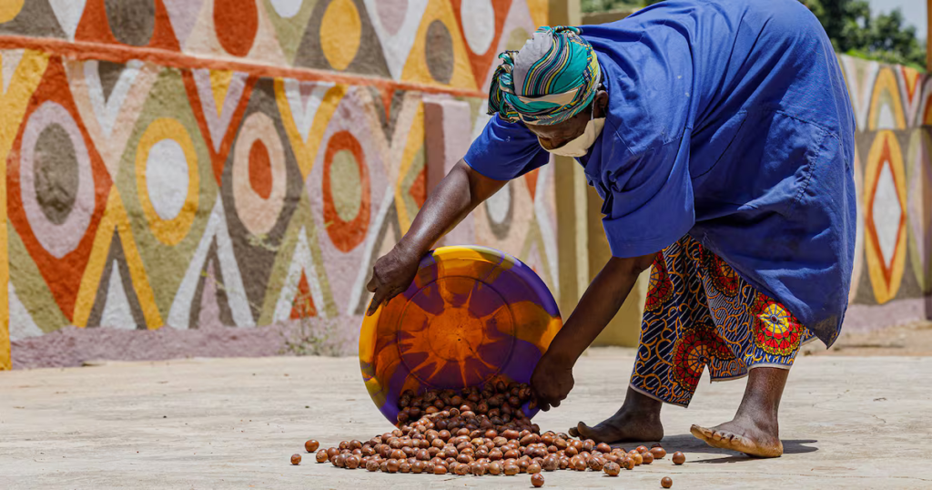 The Struggle to Save Africa’s Shea Butter Industry The Struggle to Save Africa’s Shea Butter Industry