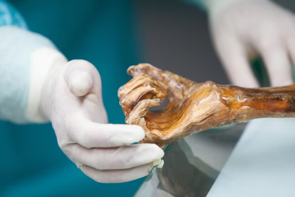 The microbes of Ötzi the Iceman awaken thousands of years after his death | Science The microbes of Ötzi the Iceman awaken thousands of years after his death | Science