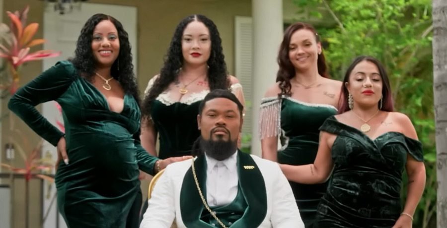 ‘This Is Poly’ Viewers Feel Network ‘Tricked’ Them Into Watching 'This Is Poly' Viewers Feel Network 'Tricked' Them Into Watching