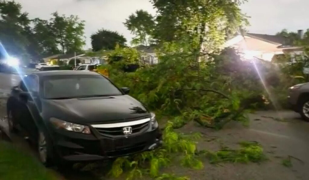 Tornadoes in Illinois and Indiana leave residents grappling with damage; cleanup efforts underway