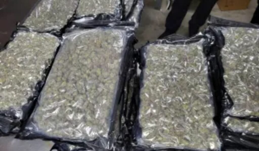 U.S. agents at border near Buffalo find 1,600 pounds of marijuana