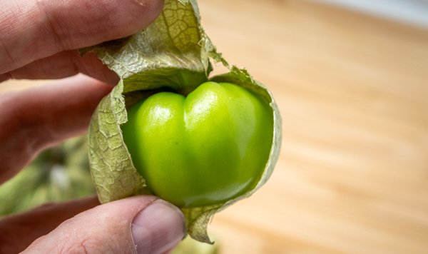 What Can I Make With Tomatillos? 18 Easy Recipes What Can I Make With Tomatillos? 18 Easy Recipes