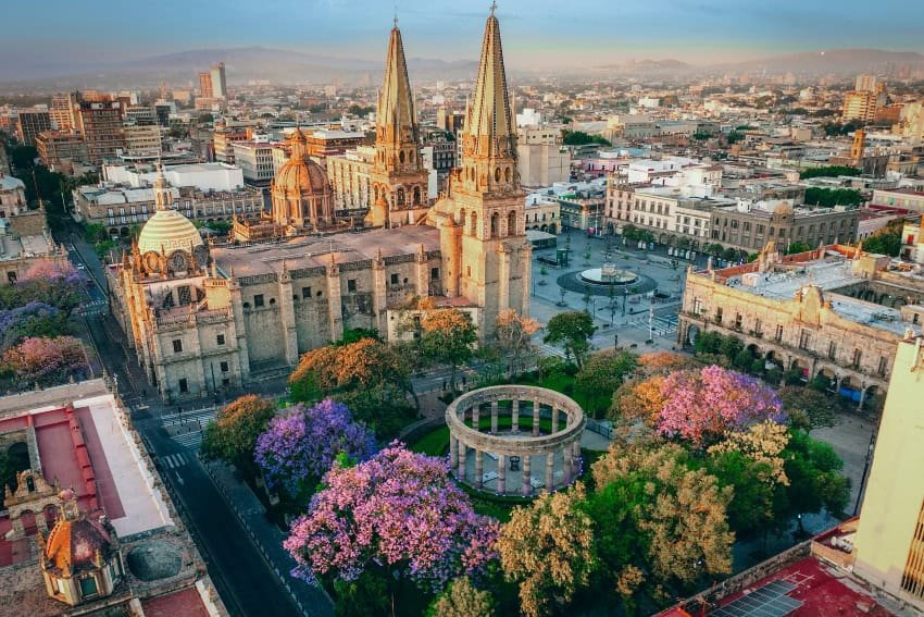 World Cup Updates: Excitement in Guadalajara World Cup Updates: Excitement in Guadalajara
