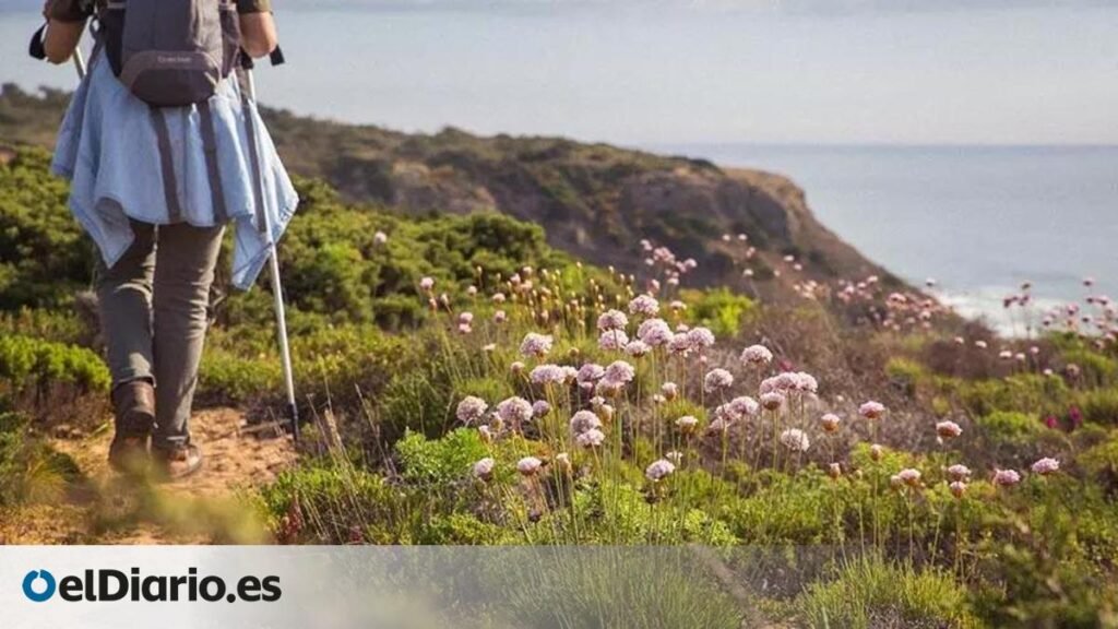 así es la Ruta Vicentina, uno de los grandes recorridos de la costa portuguesa así es la Ruta Vicentina, uno de los grandes recorridos de la costa portuguesa