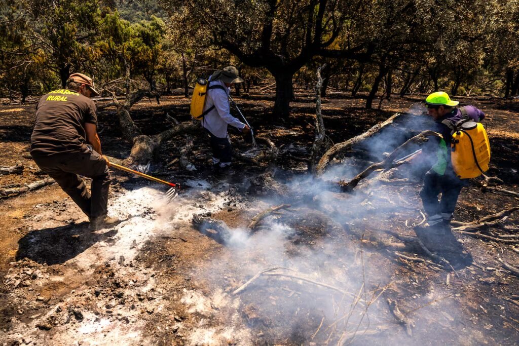 A day with a firefighting crew in Madrid: ‘The firefighters can’t keep up; last night there were three new fires’ | International A day with a firefighting crew in Madrid: ‘The firefighters can’t keep up; last night there were three new fires’ | International