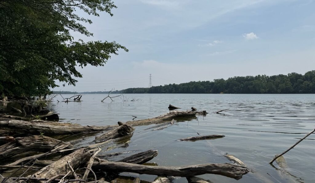 Attempt to save a struggling swimmer leaves 5 dead in an Ohio river Attempt to save a struggling swimmer leaves 5 dead in an Ohio river