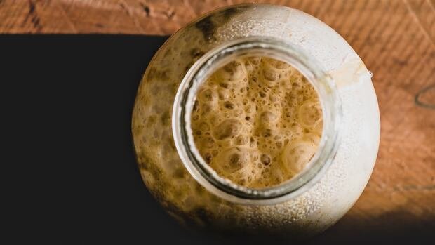 B.C. researchers turn to wild yeast in bid to help struggling craft breweries B.C. researchers turn to wild yeast in bid to help struggling craft breweries