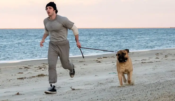 Believe In Yourself and Watch I Play Rocky First Trailer Believe In Yourself and Watch I Play Rocky First Trailer