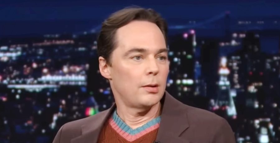 ‘Big Bang Theory’ Jim Parsons Admits The Cost Of Fame 'Big Bang Theory' Jim Parsons Admits The Cost Of Fame