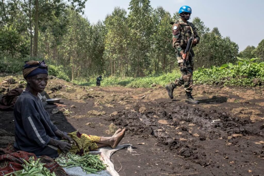 Blue Helmets are in danger of extinction | International