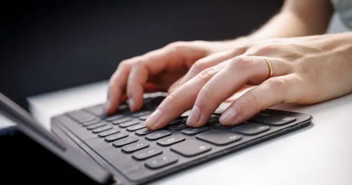 Breach of systems at Montreal borough prompts investigation into possible data theft – Montreal Breach of systems at Montreal borough prompts investigation into possible data theft - Montreal