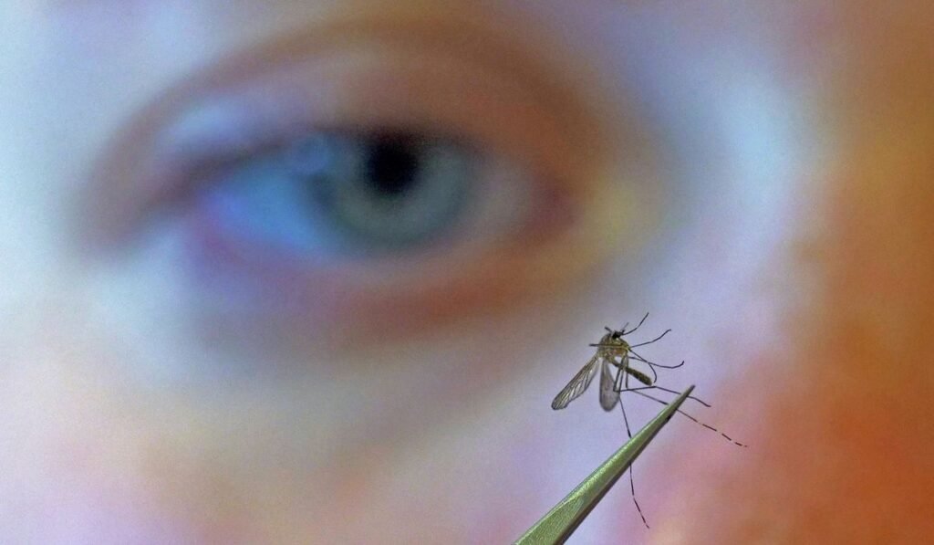 CDC urges people to prevent mosquito bites as West Nile virus season hits a strong, early start CDC urges people to prevent mosquito bites as West Nile virus season hits a strong, early start