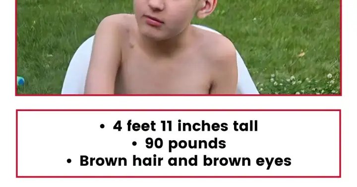 Calgary police resume ground search for missing 11-year-old boy Calgary police resume ground search for missing 11-year-old boy