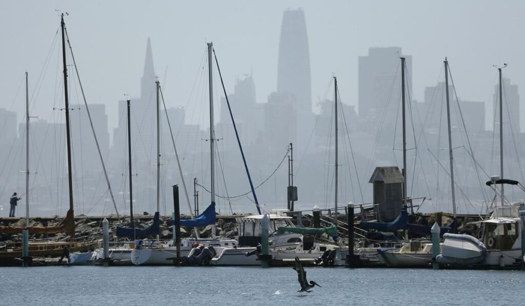 California city manager charged with burglary after trying to steal boat California city manager charged with burglary after trying to steal boat