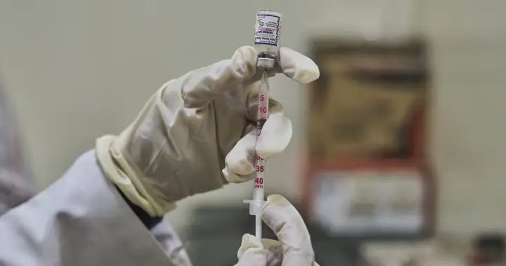Cat with rabies prompts 3 people to receive emergency treatment in Montreal area – Montreal Cat with rabies prompts 3 people to receive emergency treatment in Montreal area - Montreal