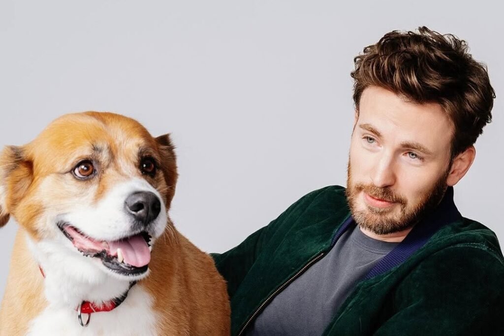 Chris Evans And Dodger Partner with Jinx to Back U.S. Military Families