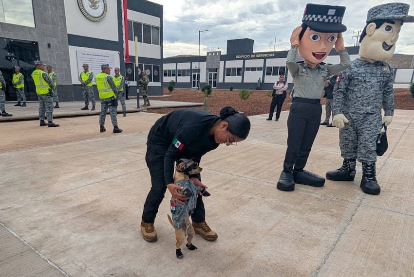 Comando, a mixed-breed dog, is a member of the National Guard Comando, a mixed-breed dog, is a member of the National Guard
