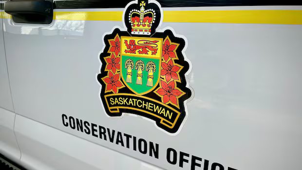 Conservation officers, RCMP investigating two wildlife-related deaths near La Ronge, Sask. Conservation officers, RCMP investigating two wildlife-related deaths near La Ronge, Sask.