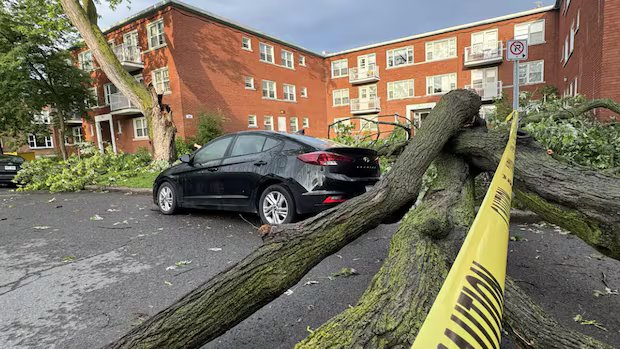 Councillors, MPPs call for help from province after Canada Day deluge Councillors, MPPs call for help from province after Canada Day deluge