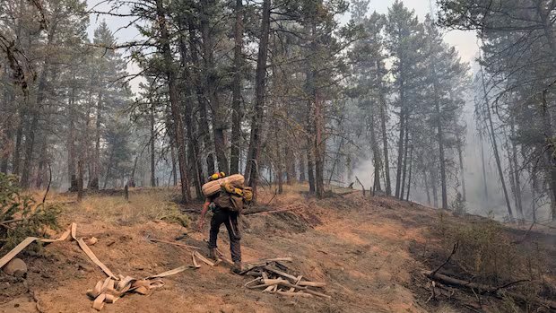 Crews called to rescue resident who defied evacuation order, B.C. Wildfire Service says Crews called to rescue resident who defied evacuation order, B.C. Wildfire Service says