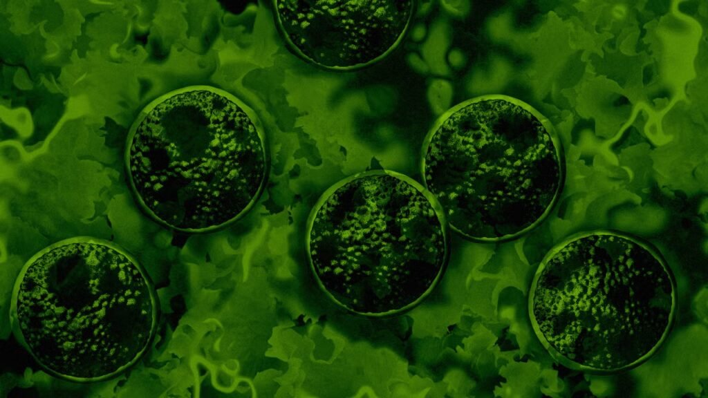 Cyclosporiasis update: CDC says parasite outbreak just spread to 4 new states. Full list of where to skip the lettuce Cyclosporiasis update: CDC says parasite outbreak just spread to 4 new states. Full list of where to skip the lettuce