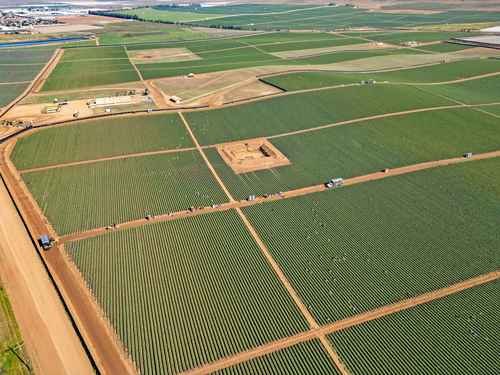 Disminuyó 16.2% el superávit comercial agroalimentario Disminuyó 16.2% el superávit comercial agroalimentario