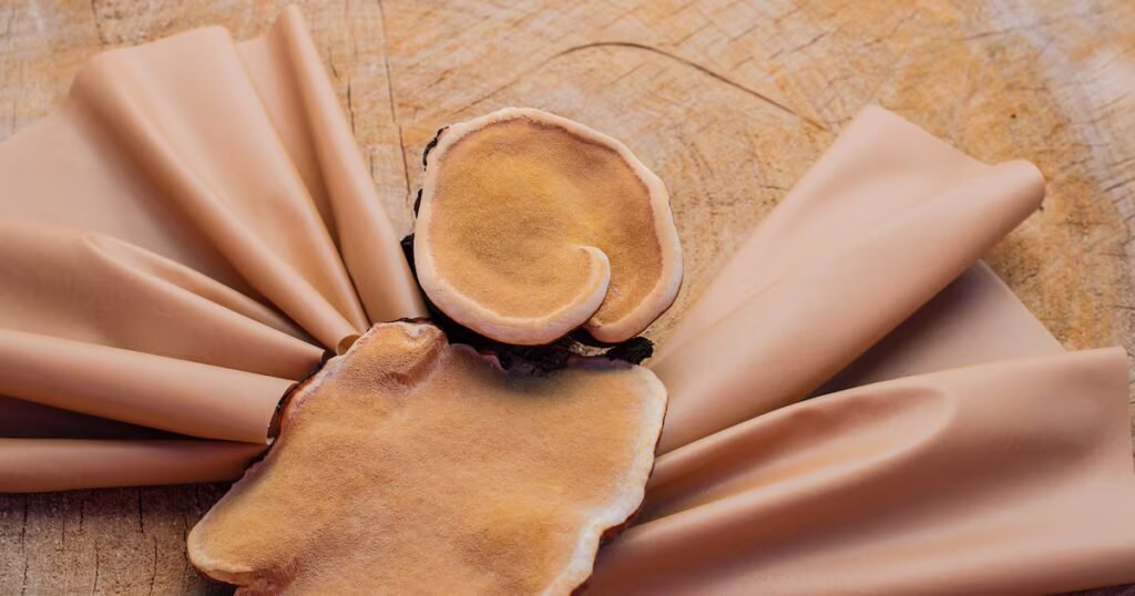 EU Removes Leather From Deforestation Law EU Removes Leather From Deforestation Law